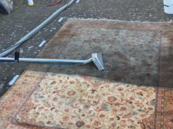 This is a photo of a floral rug that is being steam cleaned. The bottom half has been completed and the top half is being done.